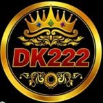 DK222 Game