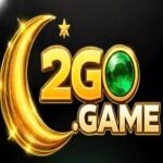 2GO Game